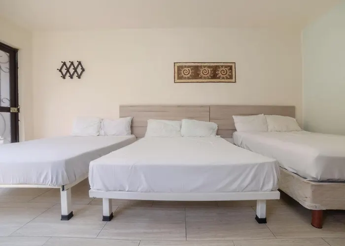 Hotel Oyo Oasis Centro Cerca Del Hospital Issste Hospital Jose Ma Morelos